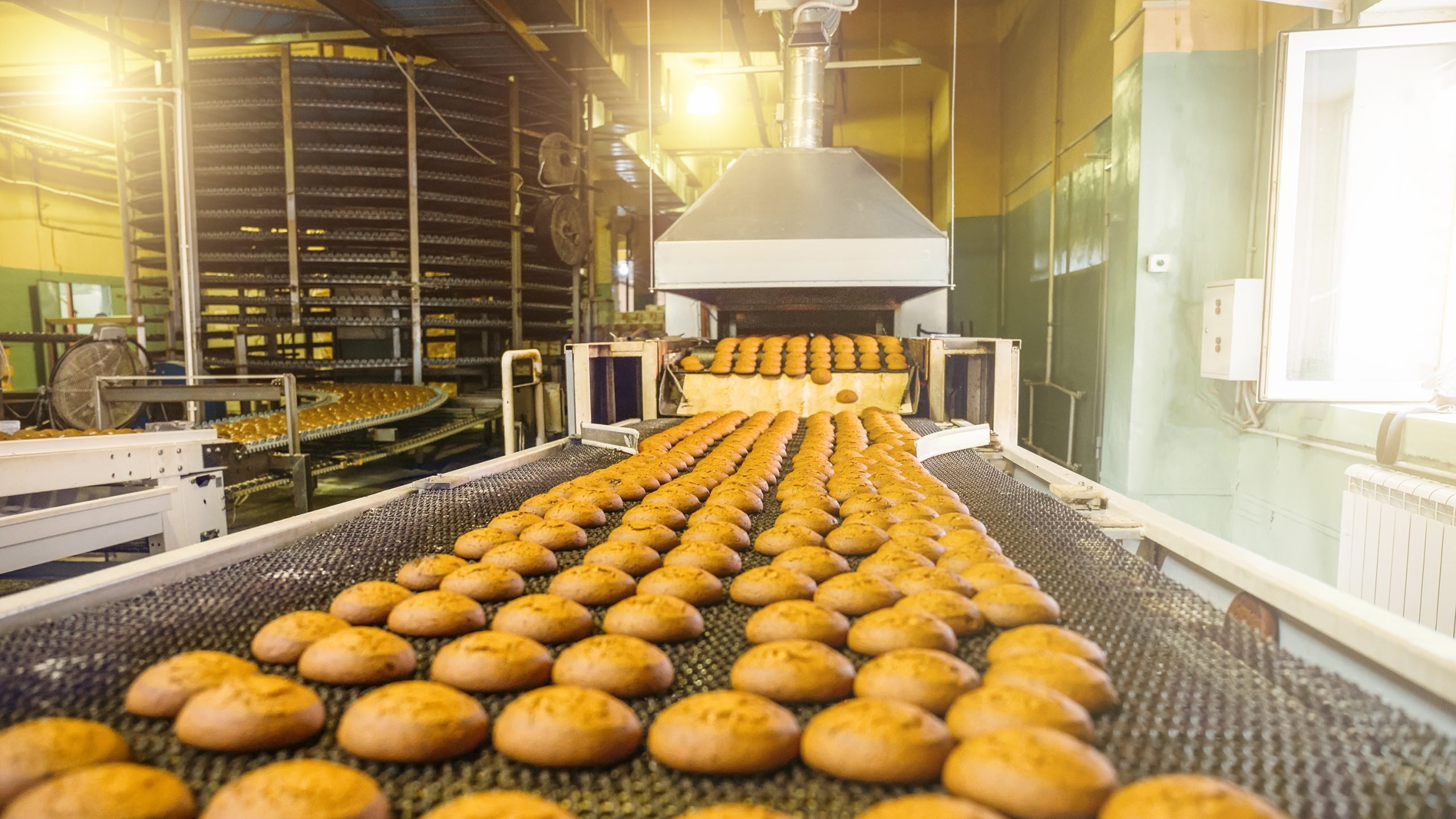 Food Industry